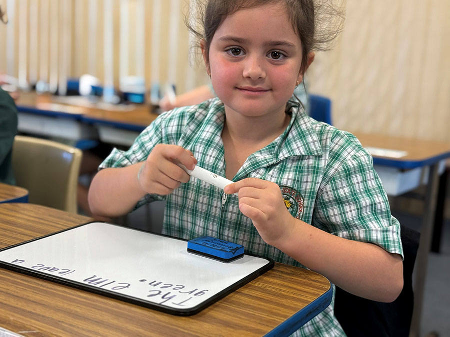 Student writing sentence